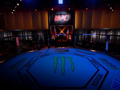 the octagon inside the ufc apex